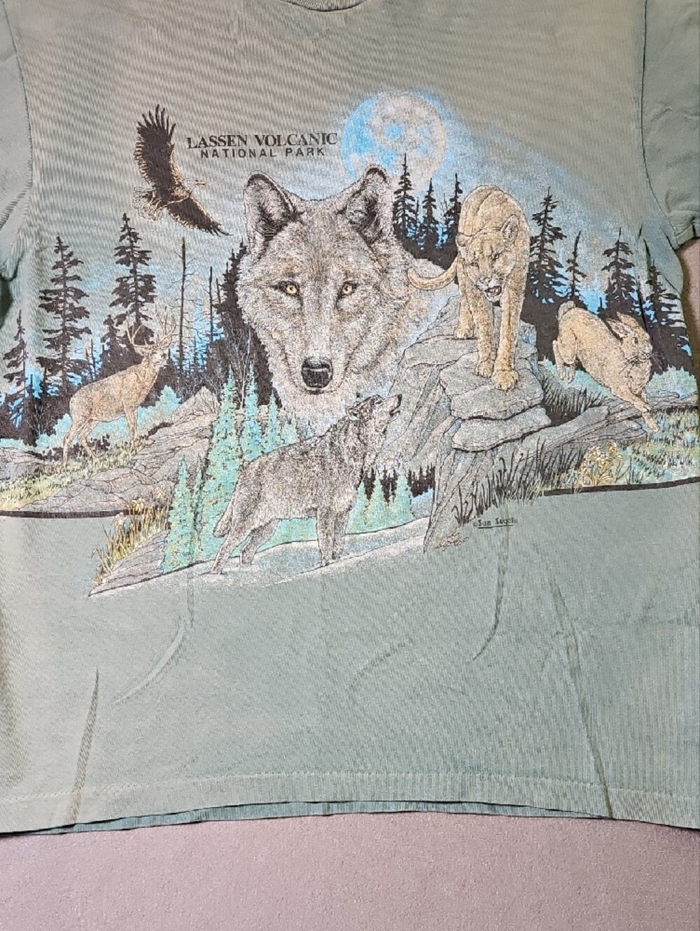 Vintage 1990s Lassen Volcanic National Park Wildlife Graphic Tee Single Stitch - Picture 5 of 11